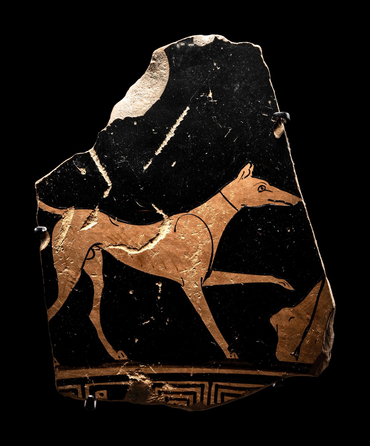 An Attic Red-Figured Skyphos Fragment with a Dog