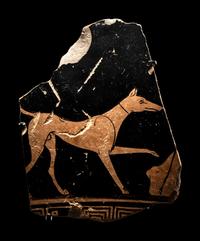 An Attic Red-Figured Skyphos Fragment with a Dog
