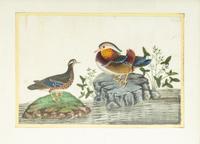 A Pair of Chinese Export Pith Paintings Mounted as Side Tables