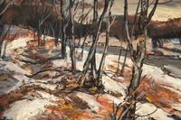 Winter Forest with Stream