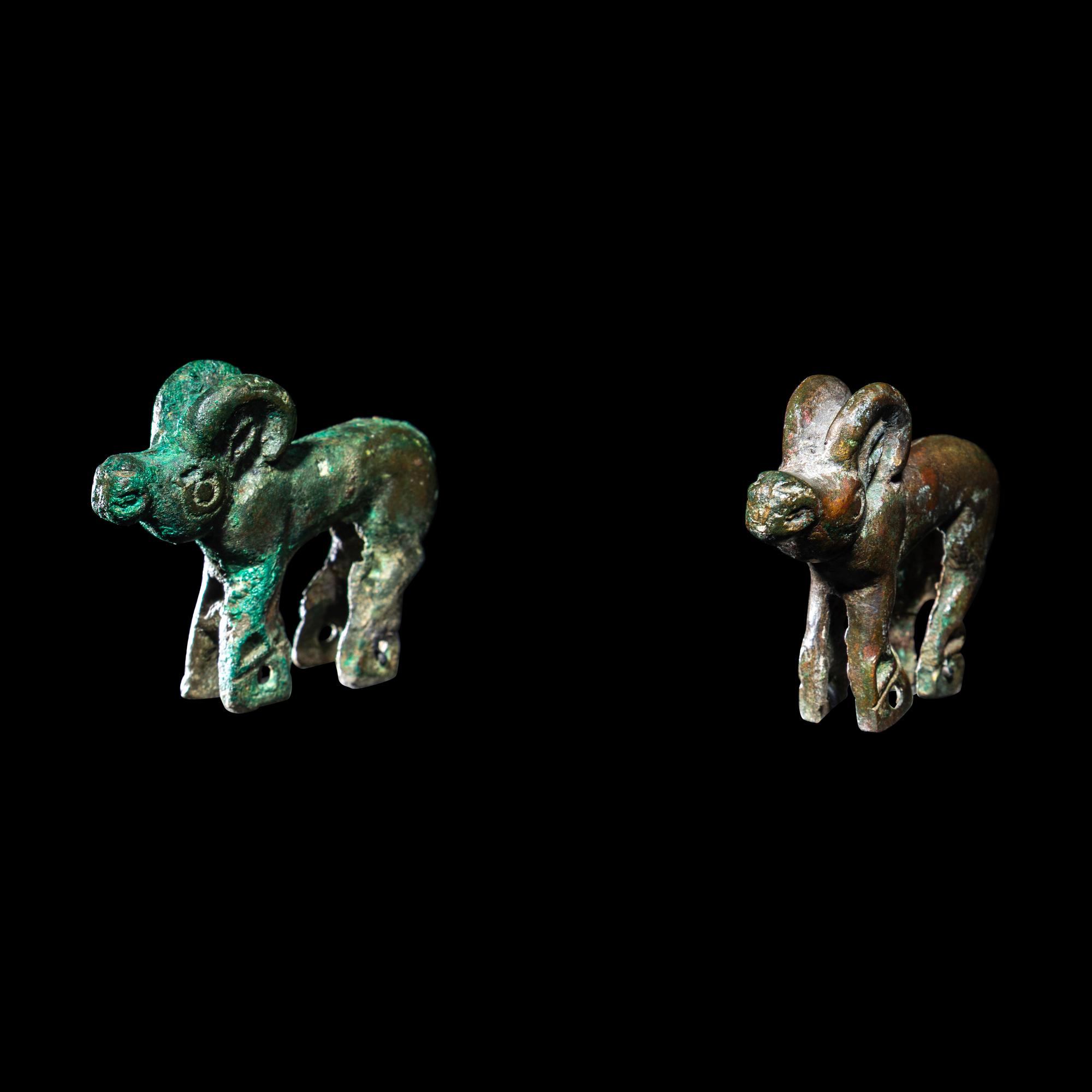 A Pair of Eurasian Bronze Ibexes