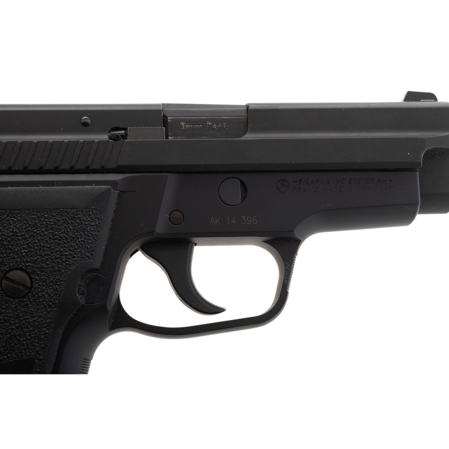 *Sig Sauer P229 with Bladetech Holster