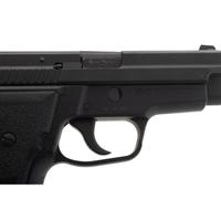 *Sig Sauer P229 with Bladetech Holster