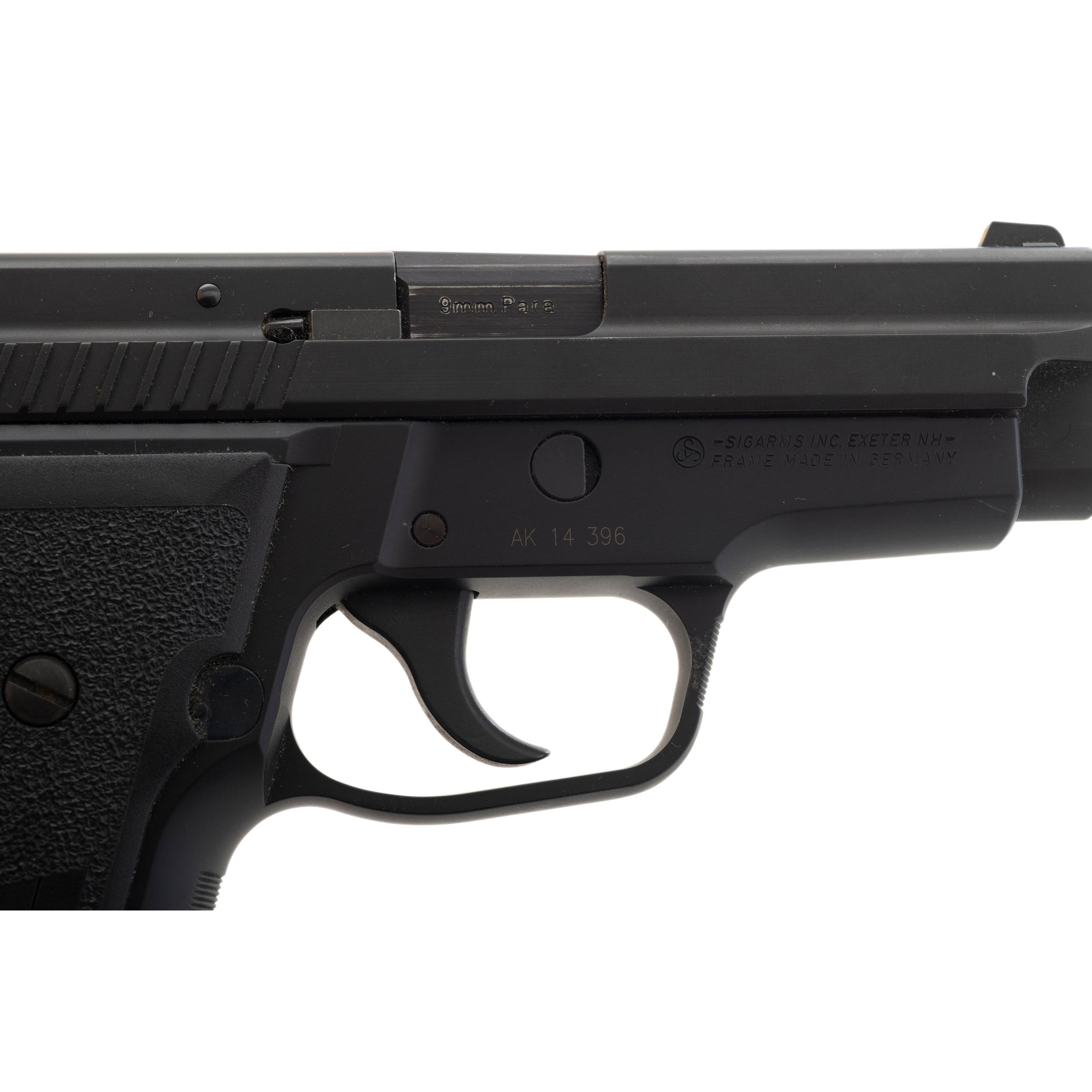 *Sig Sauer P229 with Bladetech Holster