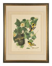 AUDUBON, John James (1784-1851)