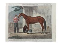 Six Hand Colored Race Horse Prints Height 7 x width 10 inches (largest) — 19TH CENTURY