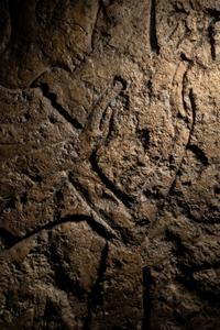 An Egyptian Limestone Relief