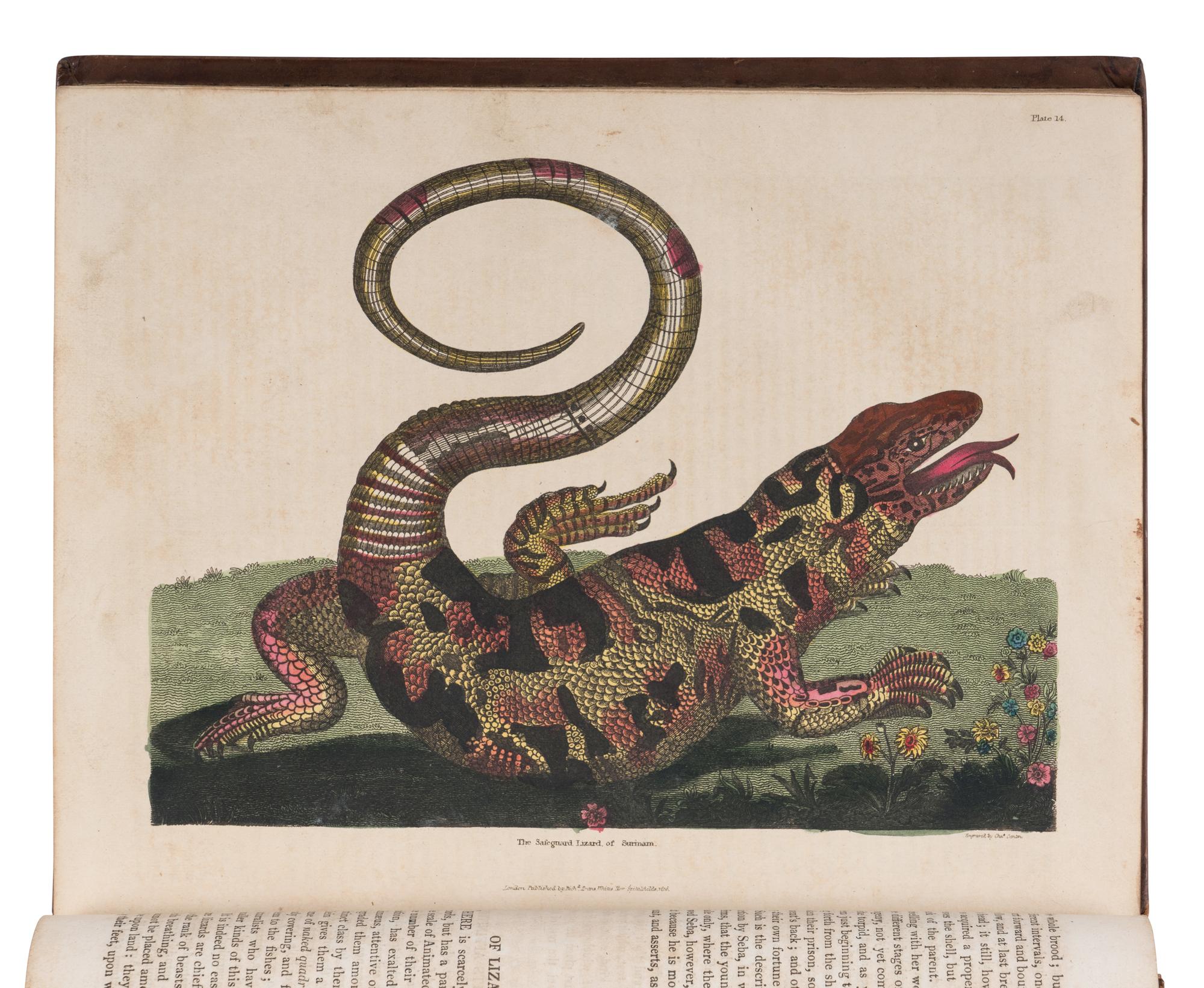[NATURAL HISTORY]. BUFFON, Georges-Louis Leclerc, Comte de (1707-1788). A Natural History, General and Particular, Containing the History and Theory of the Earth... London: Printed for Thomas Kelly by W. Clowes, n.d. [watermarked 1818].