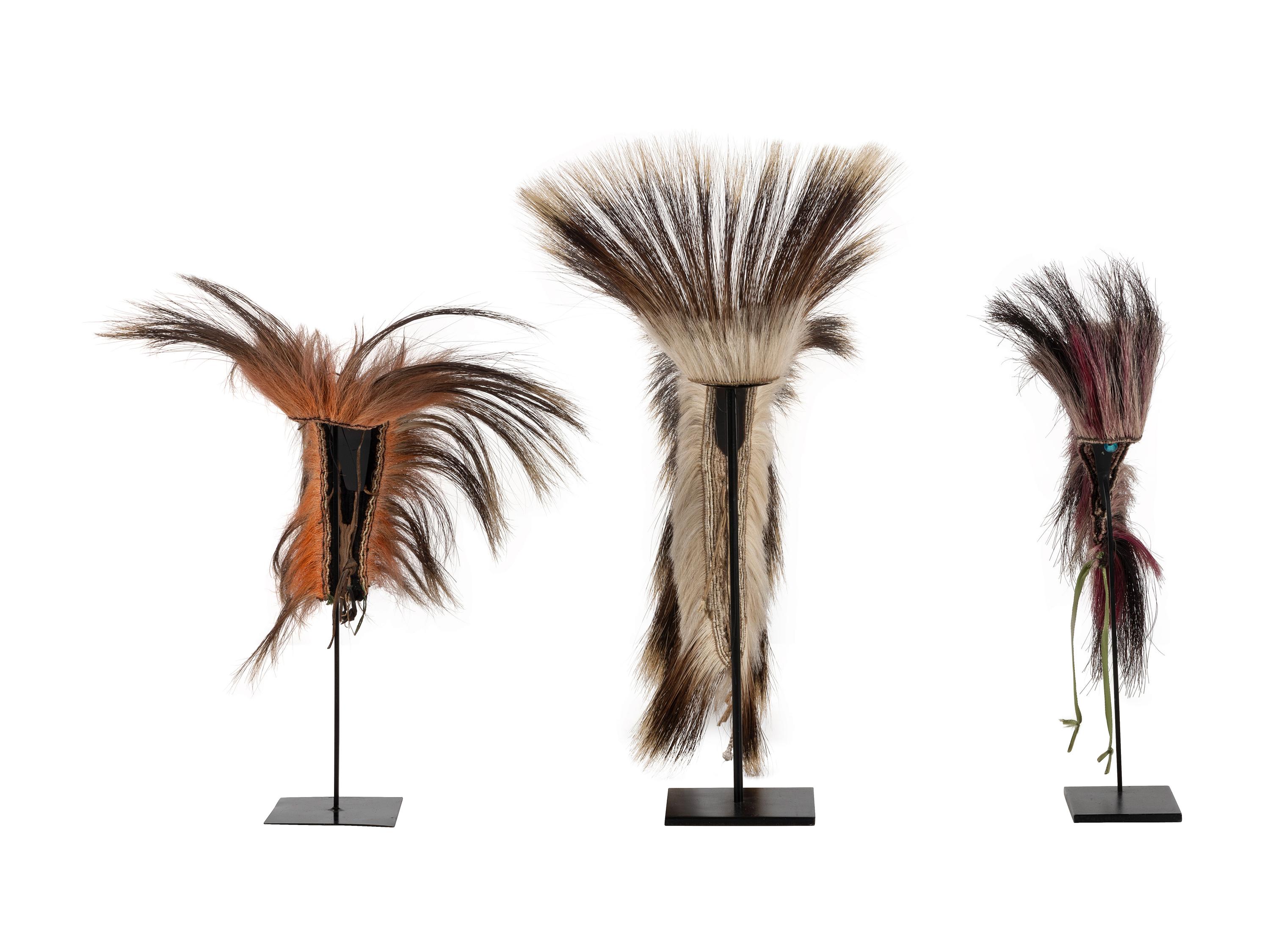 Plains Hair Roaches