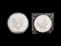 [PRIVATE ISSUE] Two 1-Pound Silver Rounds