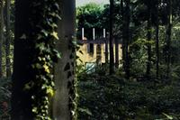 Peter Doig (born 1959) Selected images from the series "As Yet Untitled," 2000