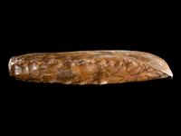 A Neolithic Flint Thin-Butted Axe