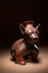 A Colima Dog Effigy Vessel