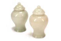 A Pair of Chinese White Glass Jars