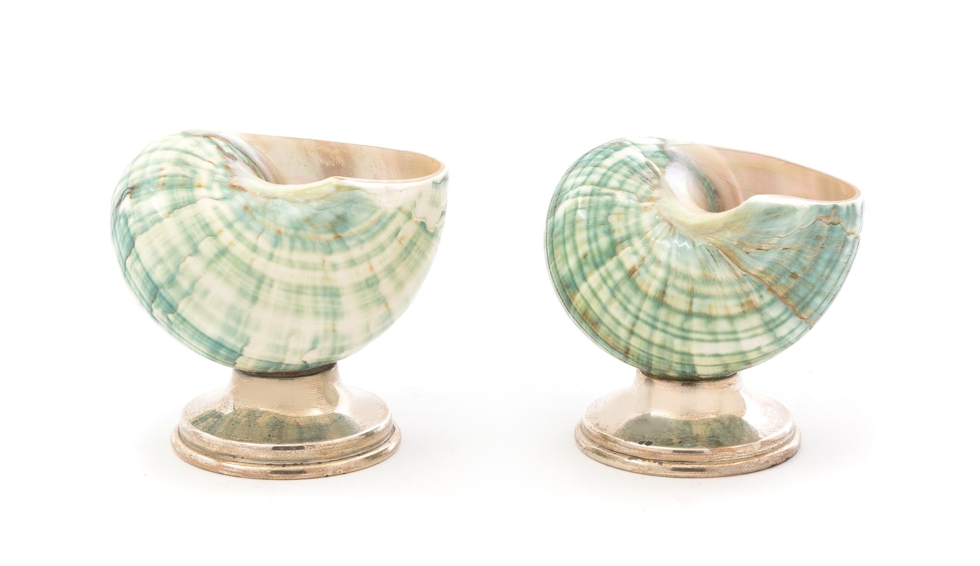 A Pair of Silver Mounted Shell Salts Height 2 1/2 inches. — 20TH CENTURY