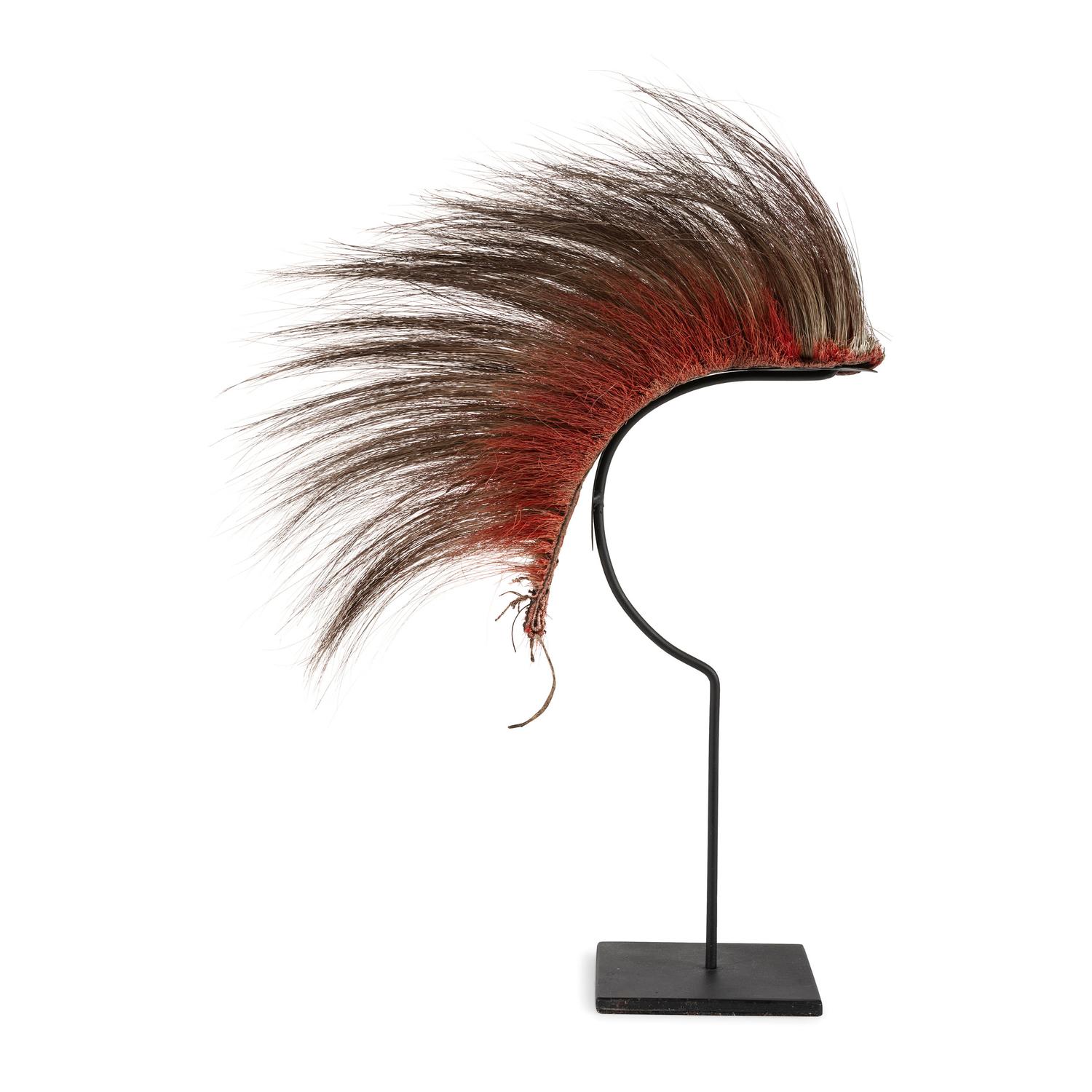 Northern Plains Hair Roach