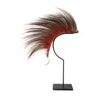 Northern Plains Hair Roach