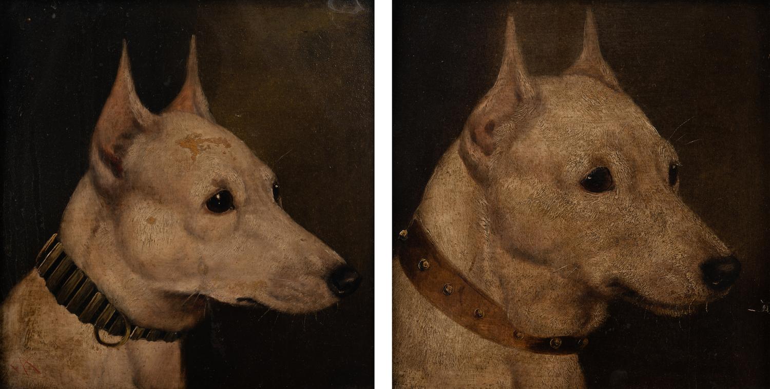 Two Paintings of Champion Bull Terriers