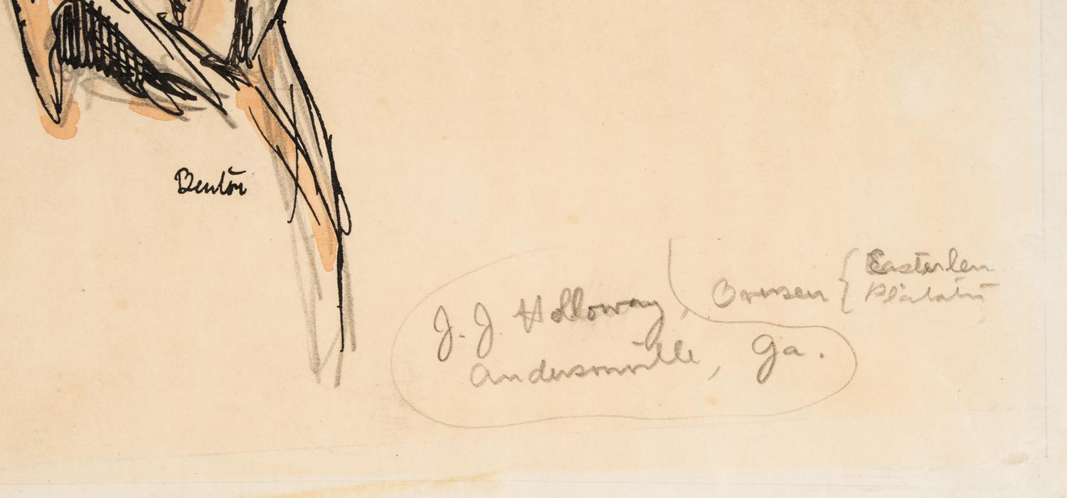 J.J. Holloway, Overseer, Easterlin Plantation, Andersonville, Ga.