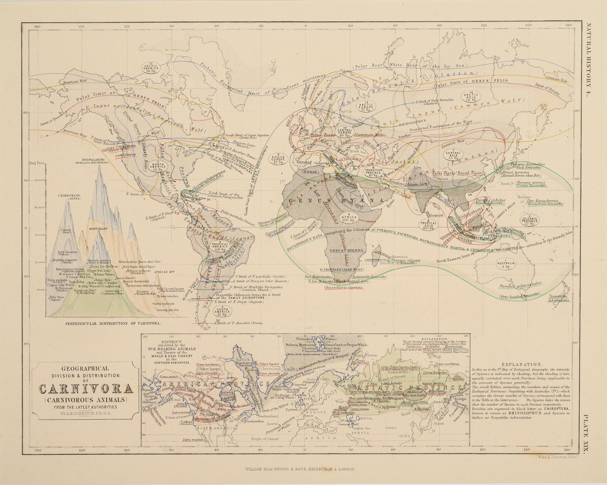 A Group of 11 19th and 20th century maps, comprising: