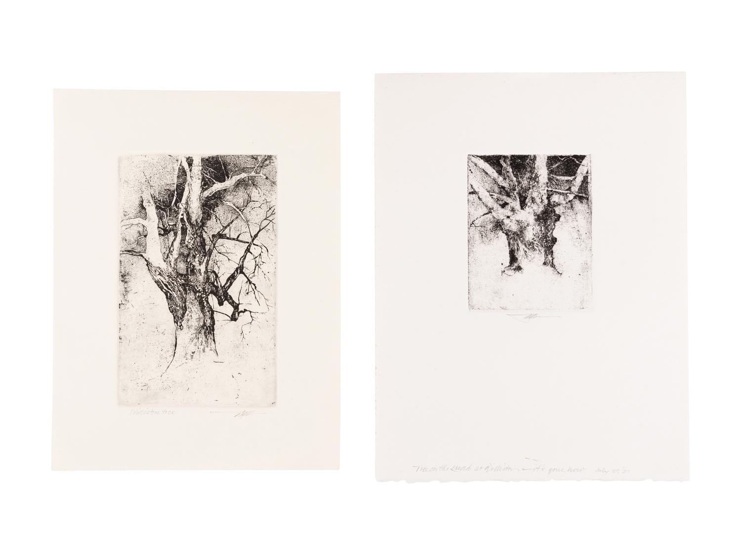 MOSER, Barry. Tree on the Quad at Williston. [ca 1979]. 330 x 252 mm. Etching. Signed in pencil, captioned “Tree on the quad at Williston—it’s gone now / July 27/21”. — Williston Tree 1. [ca 1979]. 306 x 231 mm. Etching. Captioned and signed in pencil.