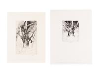 MOSER, Barry. Tree on the Quad at Williston. [ca 1979]. 330 x 252 mm. Etching. Signed in pencil, captioned “Tree on the quad at Williston—it’s gone now / July 27/21”. — Williston Tree 1. [ca 1979]. 306 x 231 mm. Etching. Captioned and signed in pencil.