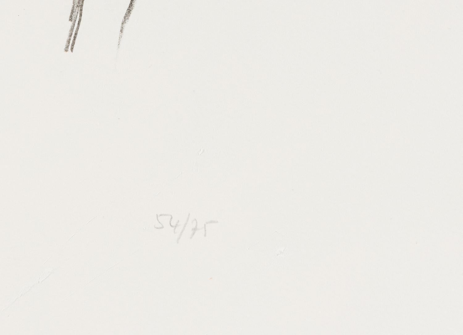 Cyclamen I ( from Suite of Plant Lithographs ), 1964-1965 (published 1966)