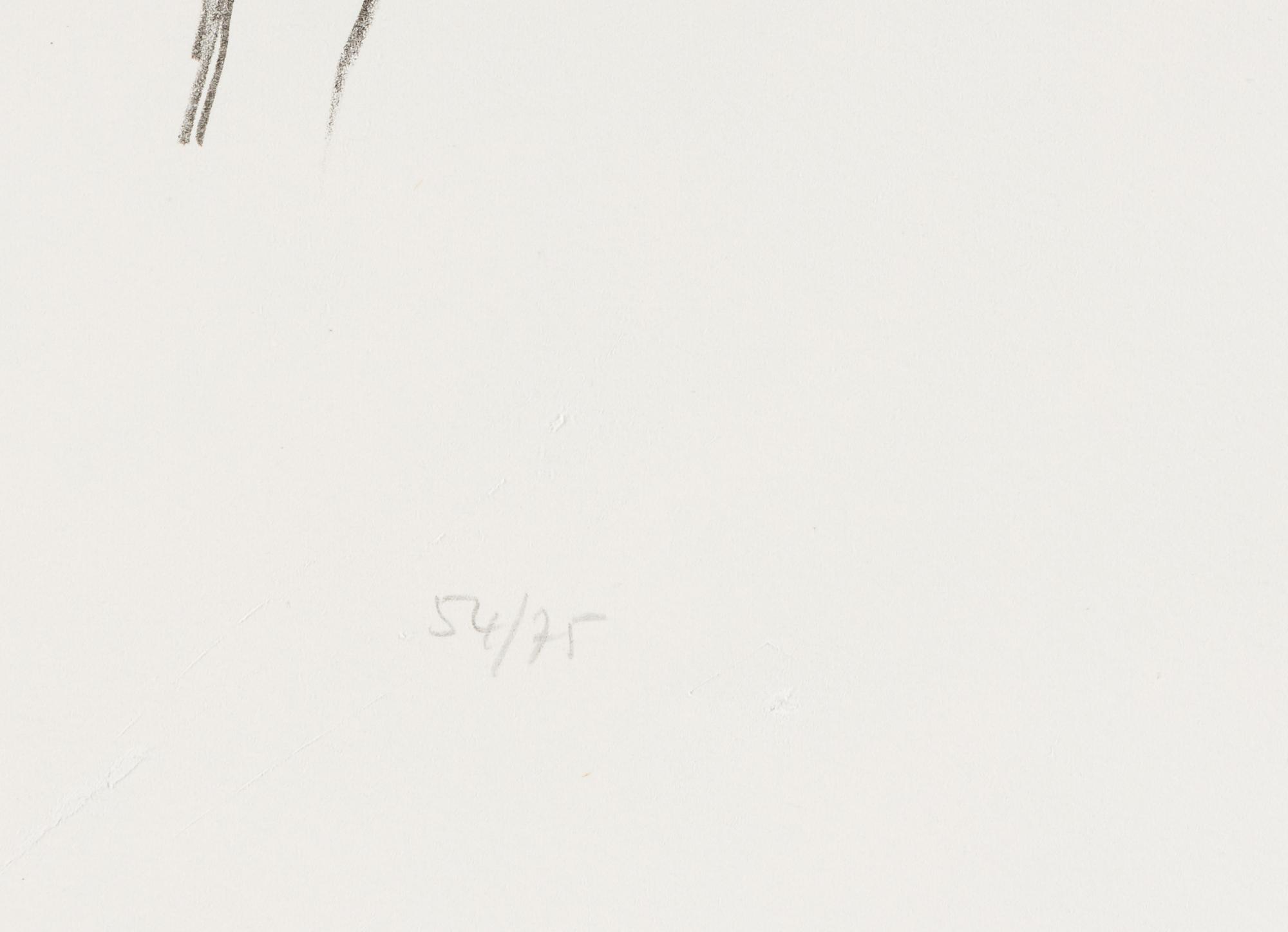 Cyclamen I ( from Suite of Plant Lithographs ), 1964-1965 (published 1966)