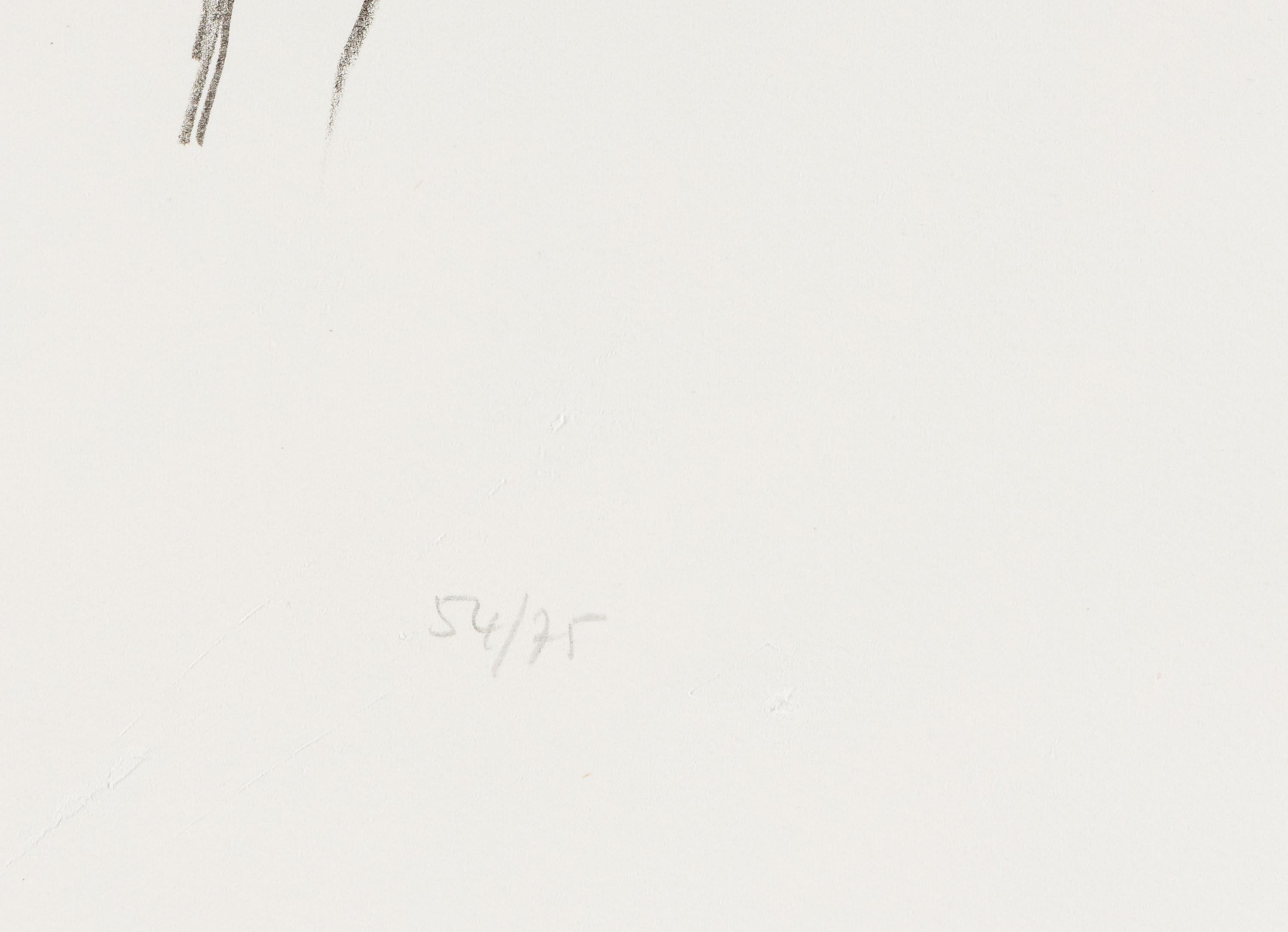Cyclamen I ( from Suite of Plant Lithographs ), 1964-1965 (published 1966)