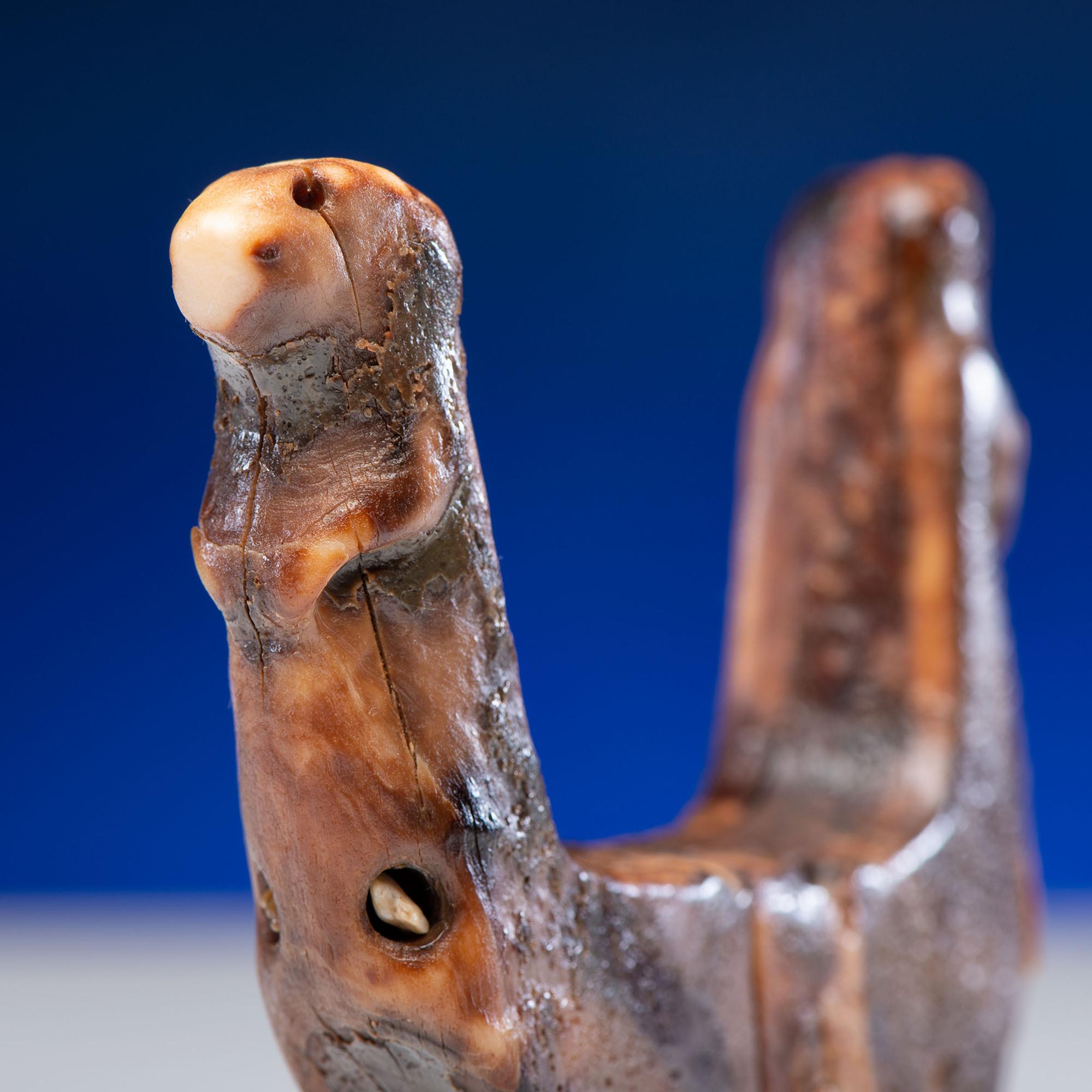 Iñupiat Fossilized Walrus Ivory Harpoon Rest, with Seals