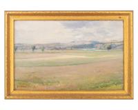 Open Field
