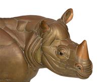 Rhinoceros