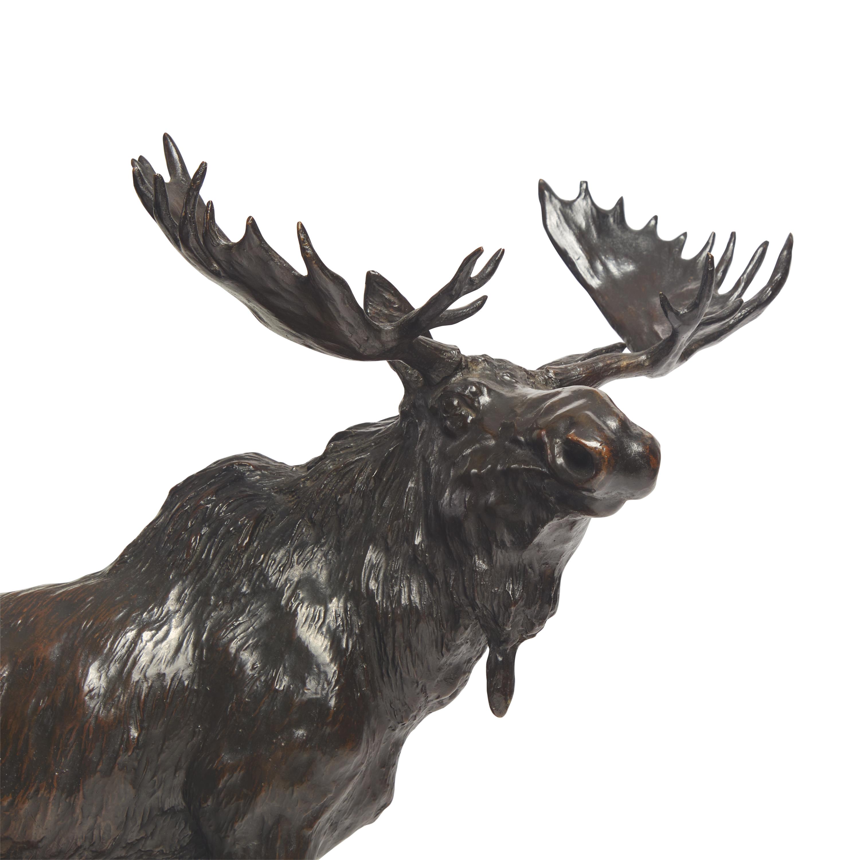 Henry M. Shrady (American, 1871-1922) — Bull Moose , 1900
