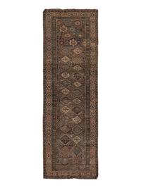 A Shirvan Runner