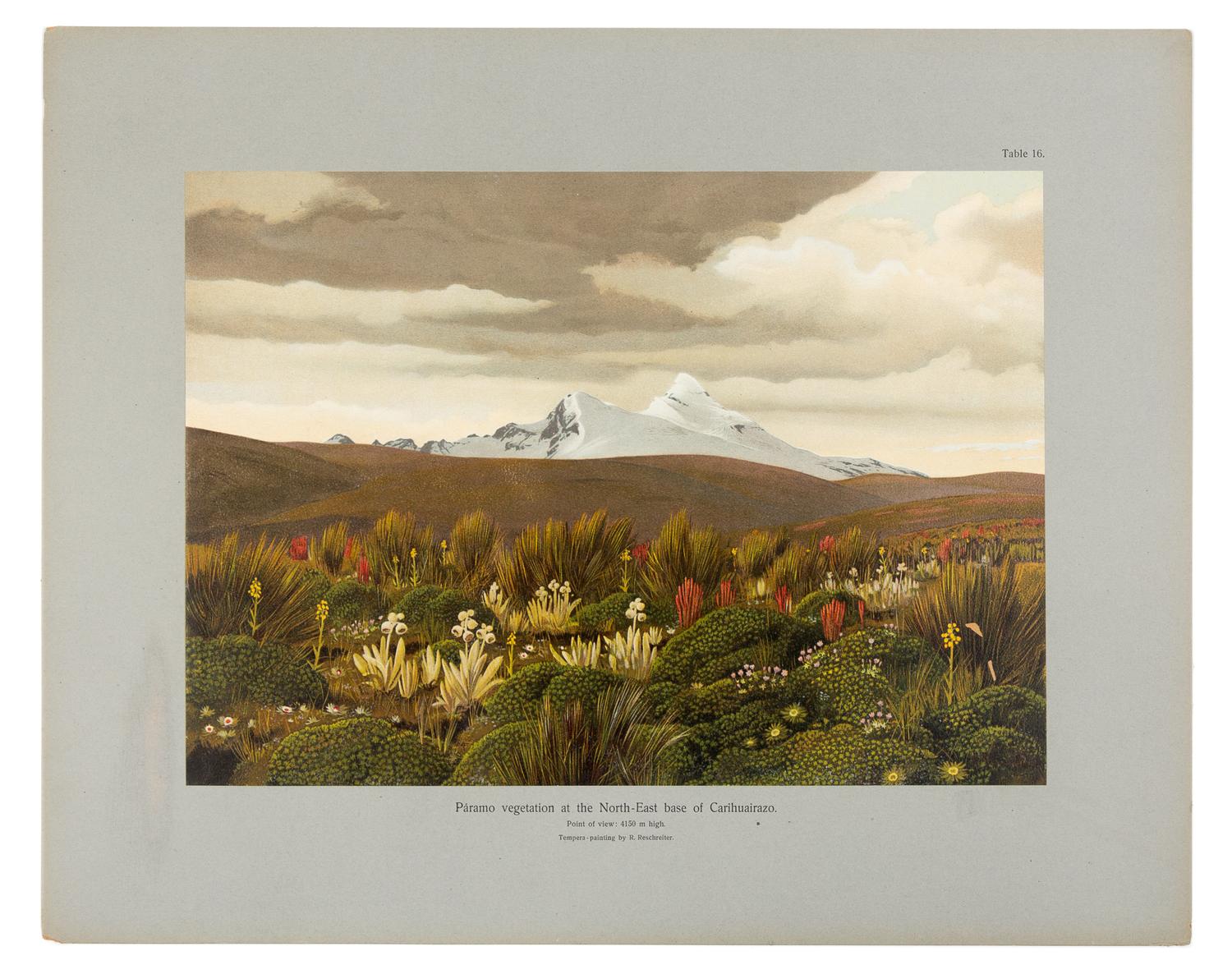 MEYER, Hans Heinrich Joseph (1858-1929). In the High Andes of Ecuador: Chimborazo, Cotopaxi, etc. London, 1908. FIRST EDITION.