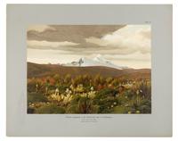 MEYER, Hans Heinrich Joseph (1858-1929). In the High Andes of Ecuador: Chimborazo, Cotopaxi, etc. London, 1908. FIRST EDITION.