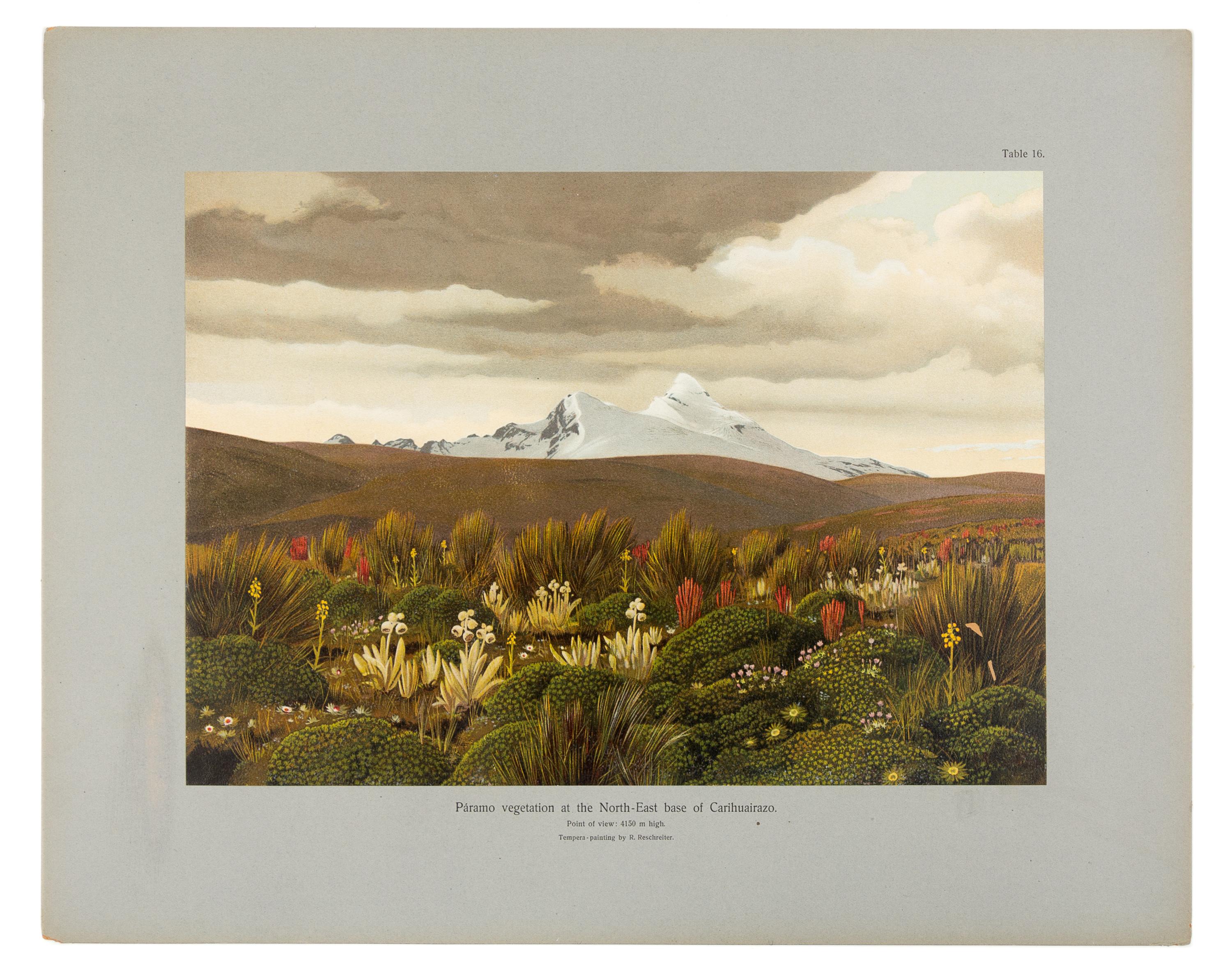 MEYER, Hans Heinrich Joseph (1858-1929). In the High Andes of Ecuador: Chimborazo, Cotopaxi, etc. London, 1908. FIRST EDITION.