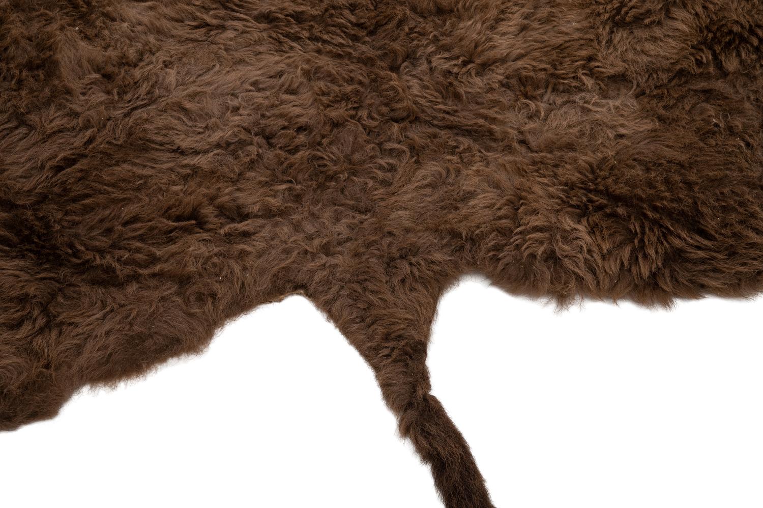 A Buffalo Hide Rug