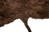 A Buffalo Hide Rug