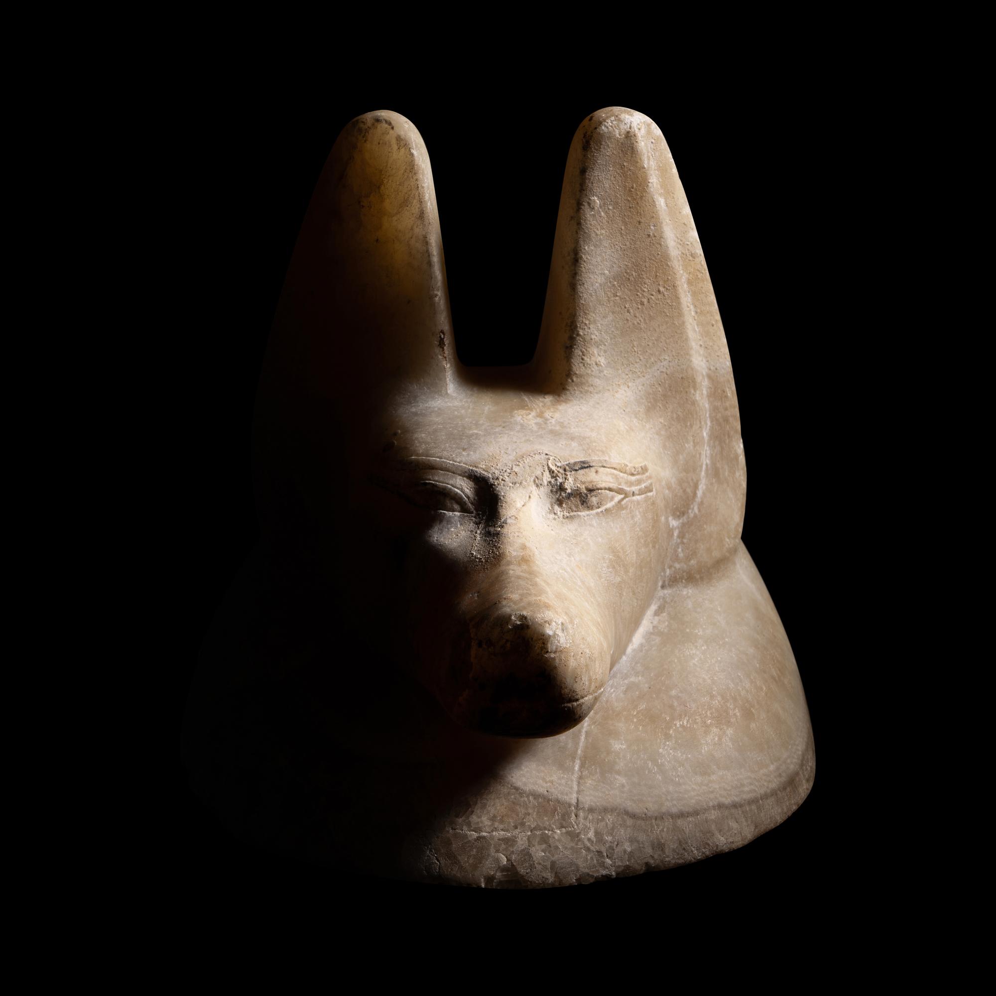 An Egyptian Alabaster Head of a Jackal