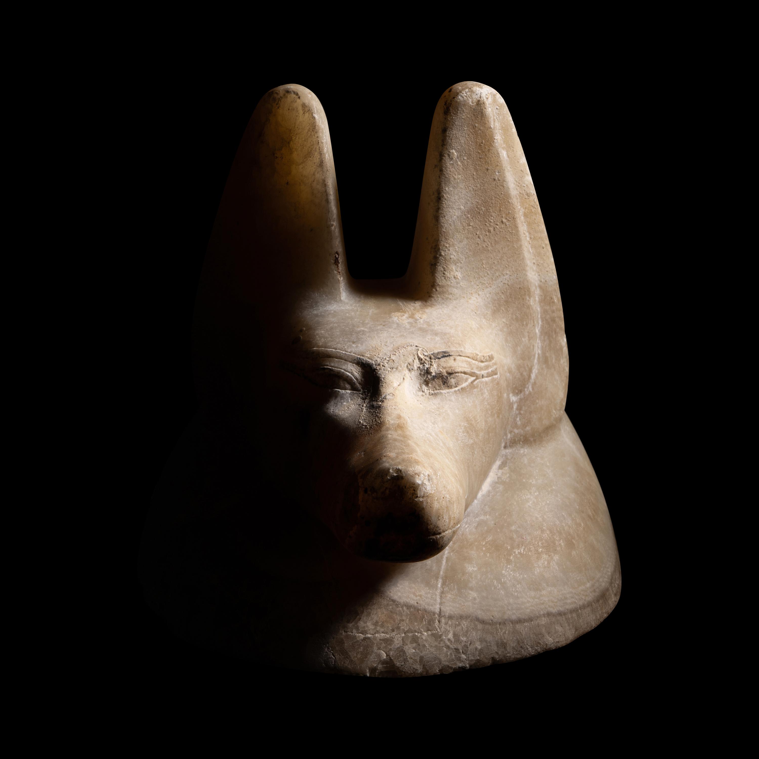 An Egyptian Alabaster Head of a Jackal
