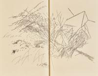 [Arion Press] [Mehretu, Julie] Poetry of Sappho
