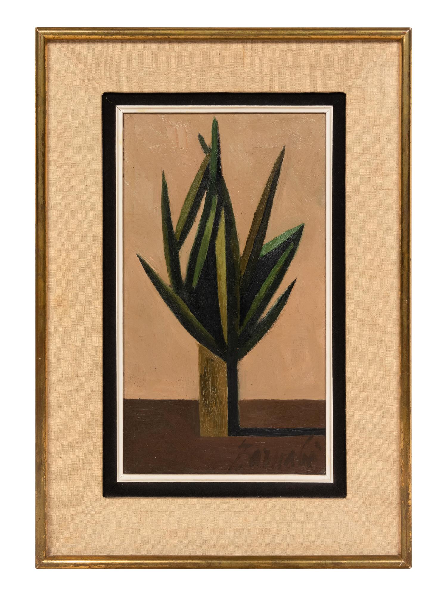 Plante Grasse