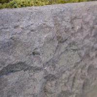 A Carved Granite Trough 49.5" W x 19" D x 17" H — United States, Circa 1750