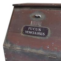 A Set of Seven Painted Bins 74" W x 23" D x 40" H — Italy, Early 20th Century