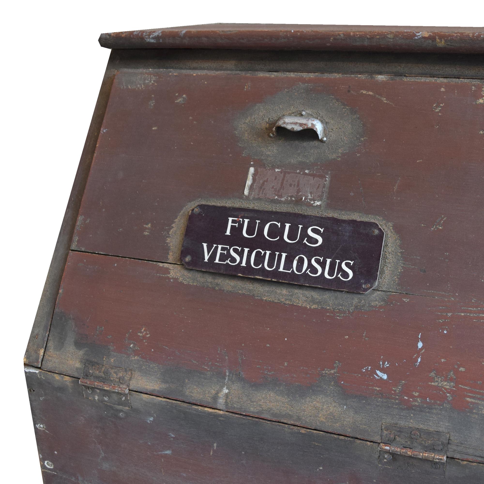 A Set of Seven Painted Bins 74" W x 23" D x 40" H — Italy, Early 20th Century