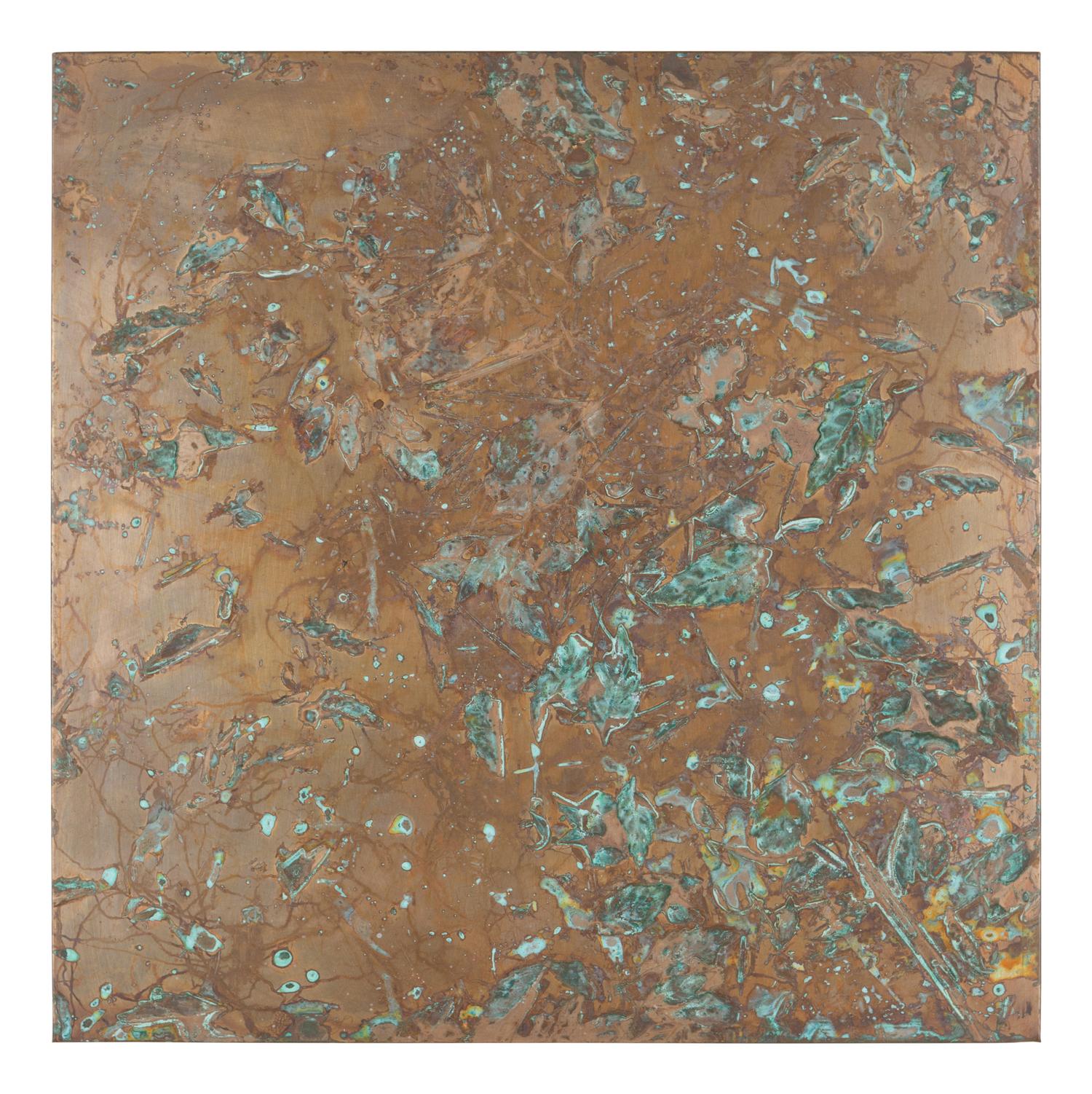 From Forest Mapping Series