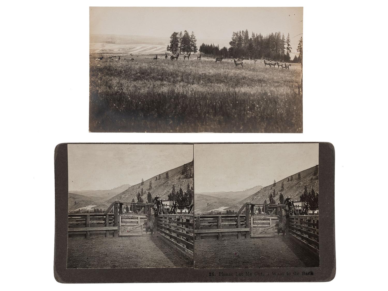 [MONTANA]-- [DAKOTA]. A group of 5 photographs, incl. buffalo, elk, and horses, highlighted by stereoview of horse-drawn wagon outside the "Pony Saloon" in Glendale, Montana by Henry W. Brown.