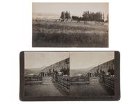 [MONTANA]-- [DAKOTA]. A group of 5 photographs, incl. buffalo, elk, and horses, highlighted by stereoview of horse-drawn wagon outside the "Pony Saloon" in Glendale, Montana by Henry W. Brown.