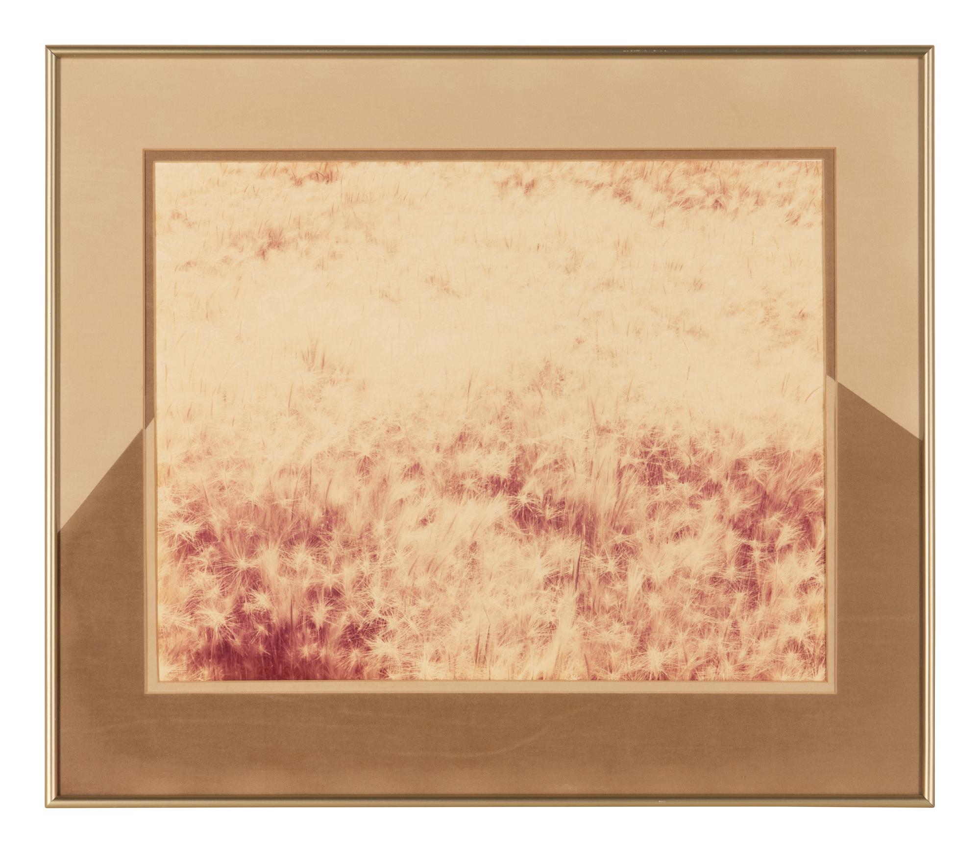 Eighteen Photographs, 1958-1979; printed 1982